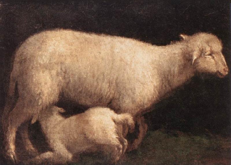BASSANO, Jacopo Sheep and Lamb dghj Spain oil painting art